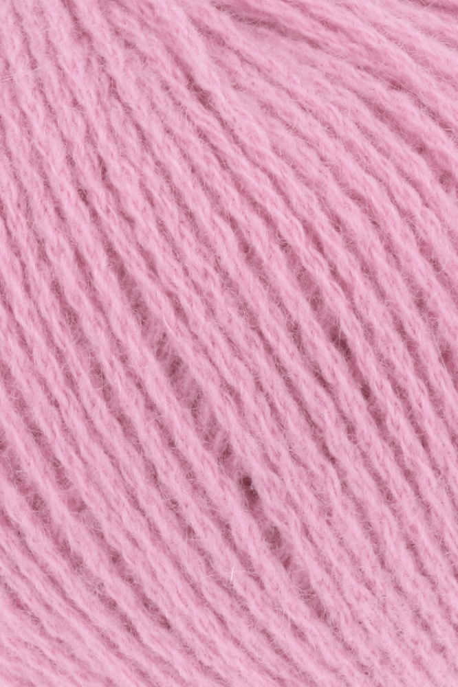 019 Rosa