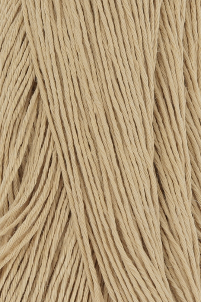 0039 Camel